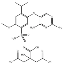 CAS:2310299-91-1 benseensulfoonamiid, 5-[(2,4-diamino-5-pürimidinüül)oksü]-2-metoksü-4-(1-metüületüül)-, 2-hüdroksü-1,2,3-propaantrikarboksülaat (1:1)